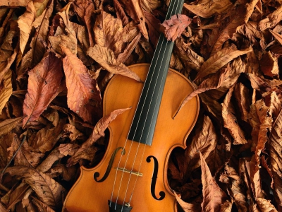 Violão, violino e violoncelo
