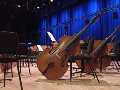 Instrumento de orquestra: conheça o contrabaixo